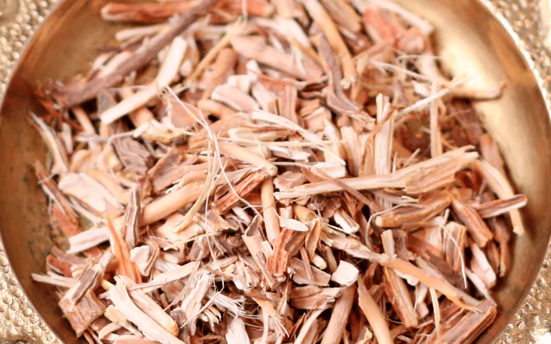 Sarsaparilla Root Extract